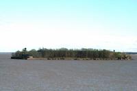 Alte Forts vor der Insel Kotlin