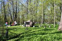 Alter Friedhof in Kronstadt