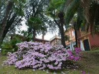 Santa Margherita - Villa Durazzo