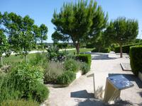 Hortus romaine in Arles