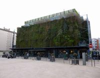 Grüne Pflanzenwand der Markthalle in Avignon