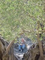 Klaus Hentschel zeichnend am Pont du Gard
