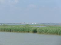 Blick auf die Landschaft des Po-Deltas