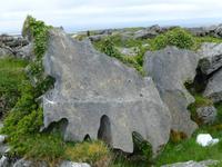 Burren - Burren Way