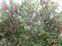 Naturschutzgebiet I Barcaioli del Mincio