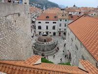 0240 Kreuzfahrt AIDAvita - Adria - Dubrovnik - Rundgang auf der Stadtmauer - Blick auf den Onofrio-Brunnen
