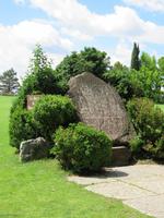 528 Kreuzfahrt AIDAvita - Adria -Besuch Park Sigurta