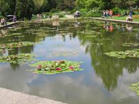 543 Kreuzfahrt AIDAvita - Adria -Besuch Park Sigurta