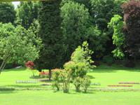 551 Kreuzfahrt AIDAvita - Adria -Besuch Park Sigurta