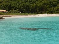 Bottsfahrt - Badestopp vor der Insel Antipaxos