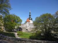 Estland_Tallin_Nikolaikirche