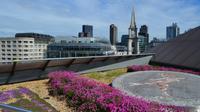 069 London, Dachpanorama
