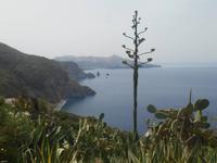Inselrundfahrt auf Lipari