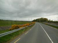 Gen Norden durch Irland