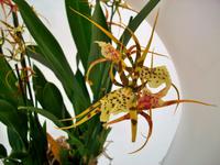 Floriade 2012 in Venlo