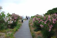 an der Höhle der Calypso