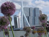 Rotterdam