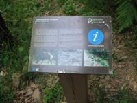 Parque de Merendas da Mata do Buçaco