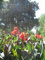 Stadtrundgang in Évora