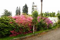 22.04.2015 Strasse in Stresa