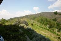 23.04.2015 Weinfelder um Arona