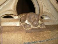 bitte streicheln - es bedeutet Glück, wir sehen uns wieder