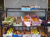 Castelbuono- Obst aus der Region