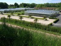 Pfingstmontag, 25.5.2015  Le Havre Les Jardins Suspendus