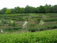 Mittwoch, 27.5.2015 Caen, Parc Floral de la Colline aux Oiseaux