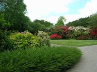 Mittwoch, 27.5.2015 Caen, Parc Floral de la Colline aux Oiseaux