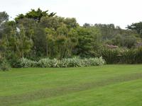 Donnerstag, 28.5.2015 Chateau de Vauville, Botanischer Garten