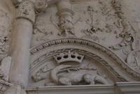 Salamander Blois