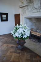 Blumen Schloss Chenonceau