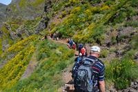 Vom Pico de Areiro zum Pico de Ruivo