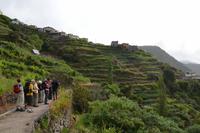 Levada Wanderung