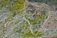 ... und hier kamen wir rauf