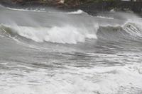 Lust auf Wellenreiten ?