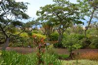 Im botanischen Garten