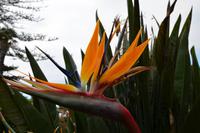 Im botanischen Garten