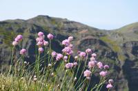 Vom Pico de Areiro zum Pico de Ruivo