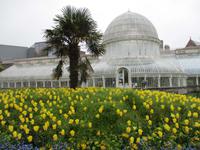 Botanischer Garten in Belfast