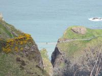 Carrick a Rede Rope Bridge