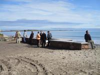 Sonnenbad an der Sandy Bay