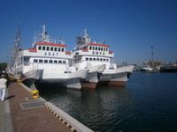 Gdynia, Hafen, Ausflugsschiffe stehen zum Ablegen bereit