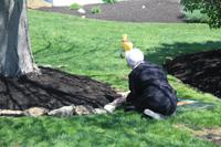 Lancaster - bei den Amischen