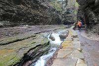 Watkins Glen State Park