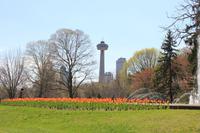 Niagara Falls - Skylon Tower