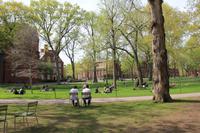 Cambridge - Harvard University