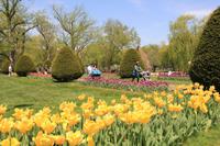 Boston - Public Garden