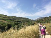 088  Knosiano-Schulcht